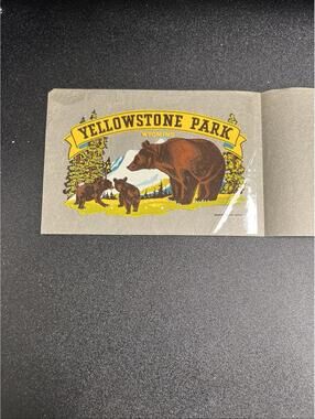 ORIGINAL SOUVENIR YELLOWSTONE PARK BROWN BEAR WYOMING DECAL ART Vintage